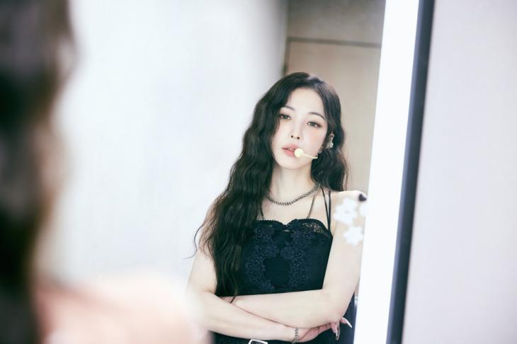 보아 공식 계정