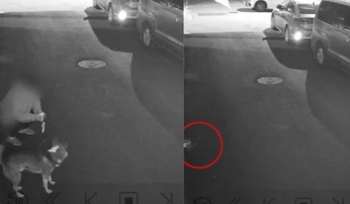 집 앞에 분변이 있어 CCTV(폐쇄회로)를 확인해 보니 범인이 사람인 것으로 밝혀져 충격을 주고 있다(사진= 보배드림 갈무리)