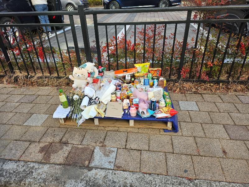 크리스마스 또래 여고생 살인 10대 살인자에 중형 선고가 답…“잔인한 계획 살인, 나이가 아닌 죄로 판단해야”