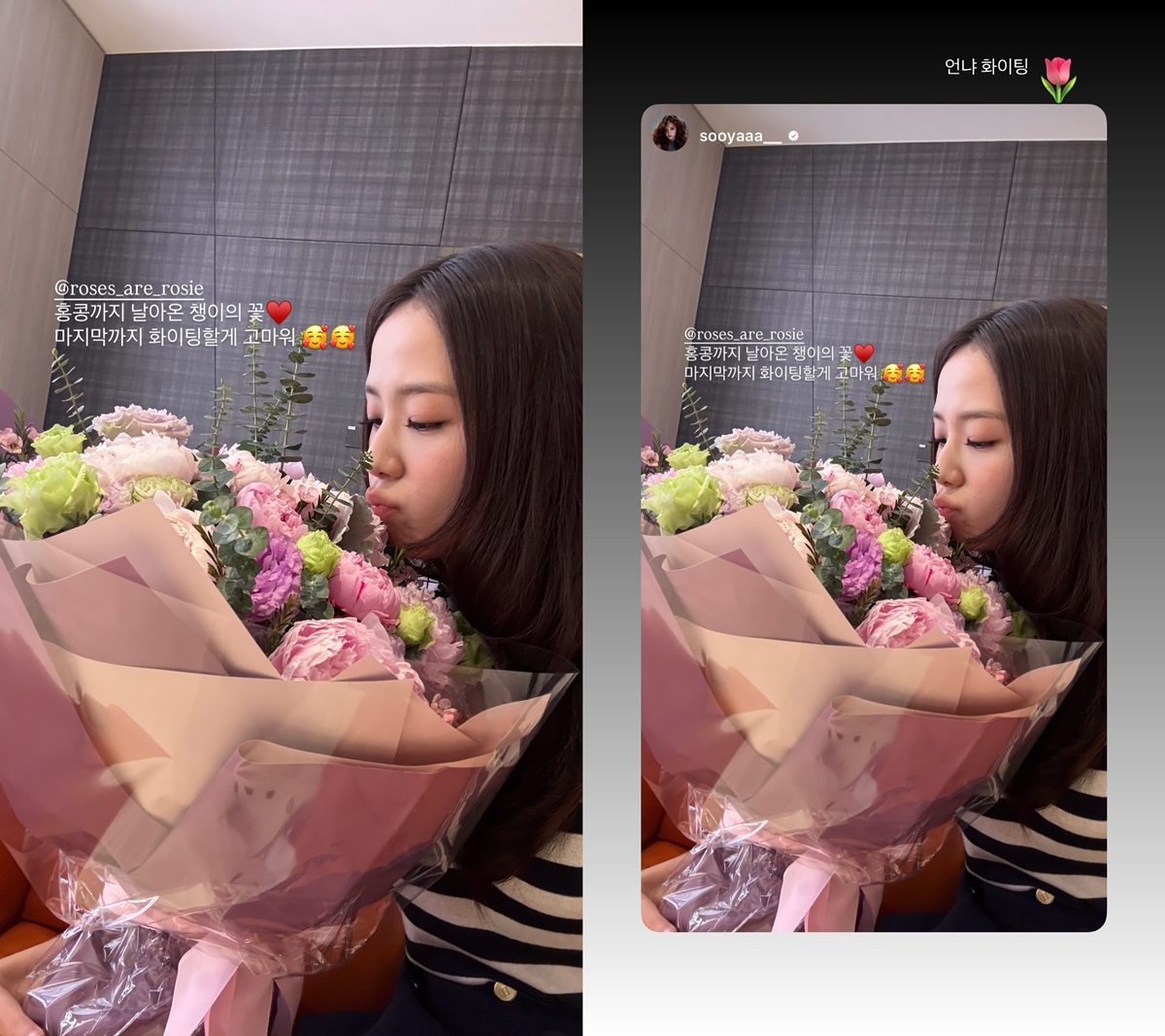 챙이의 꽃”…블랙핑크 지수, 솔로 투어 중 로제에 받은 선물 - 오서린 기자 - 톱스타뉴스 - 엔터/가요