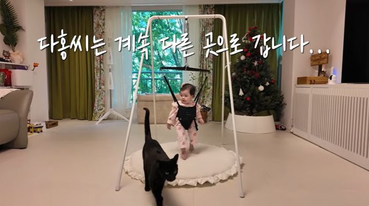 "<b>70억</b> 집 창밖 풍경이 낙"…<b>박수홍</b>, <b>압구정</b> 일상→따뜻한 가족 순간