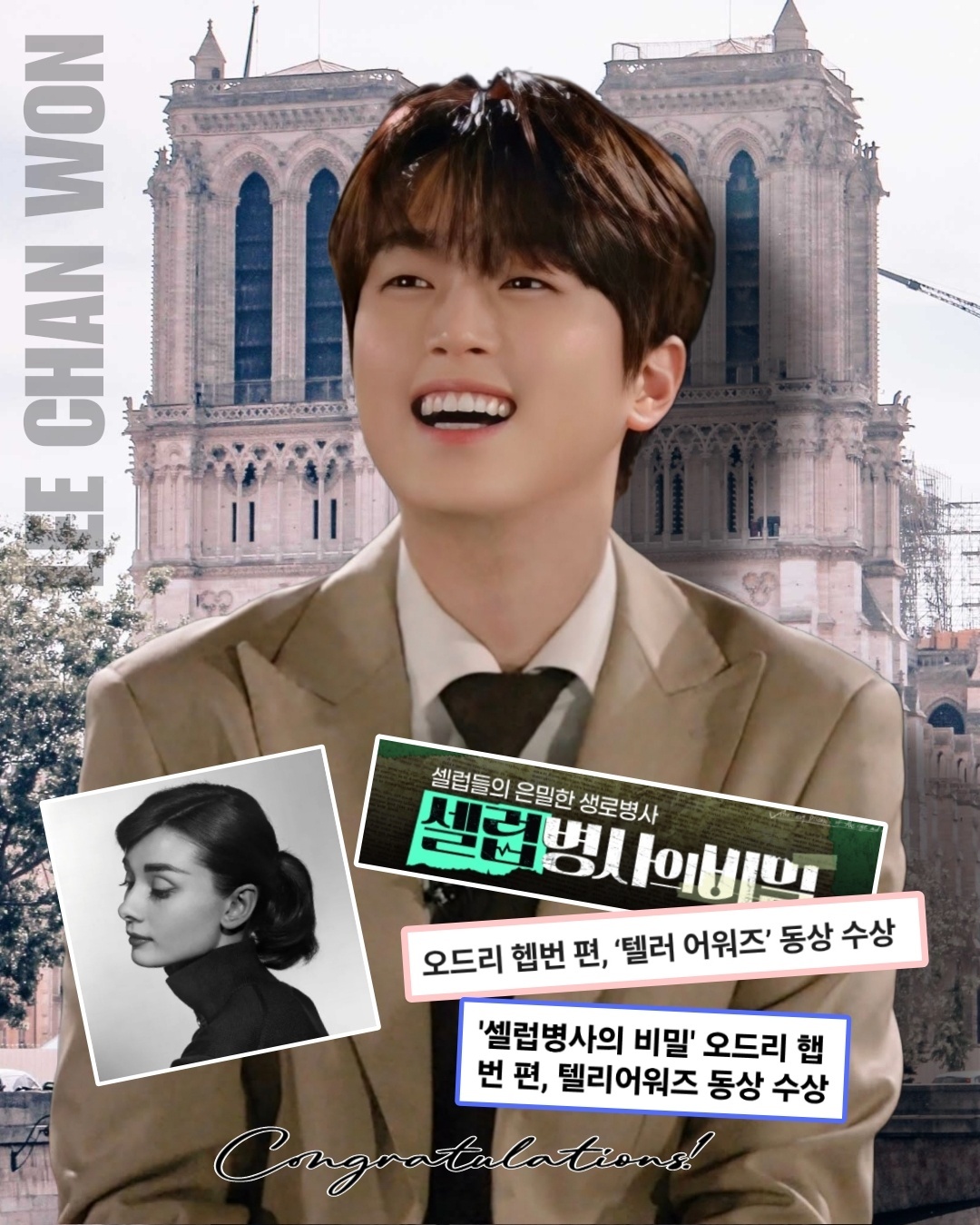 "오드리 헵번의 3개월"…<b>이찬원</b> '셀럽병사의 비밀', 텔리 어워즈 동상→...