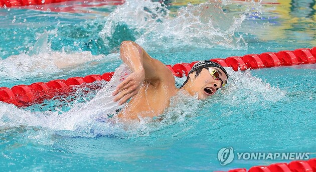 "1분45초85 역영"…<b>김우민</b>, 광주수영선수권 <b>자유형</b> 200m 제패→세계선수...