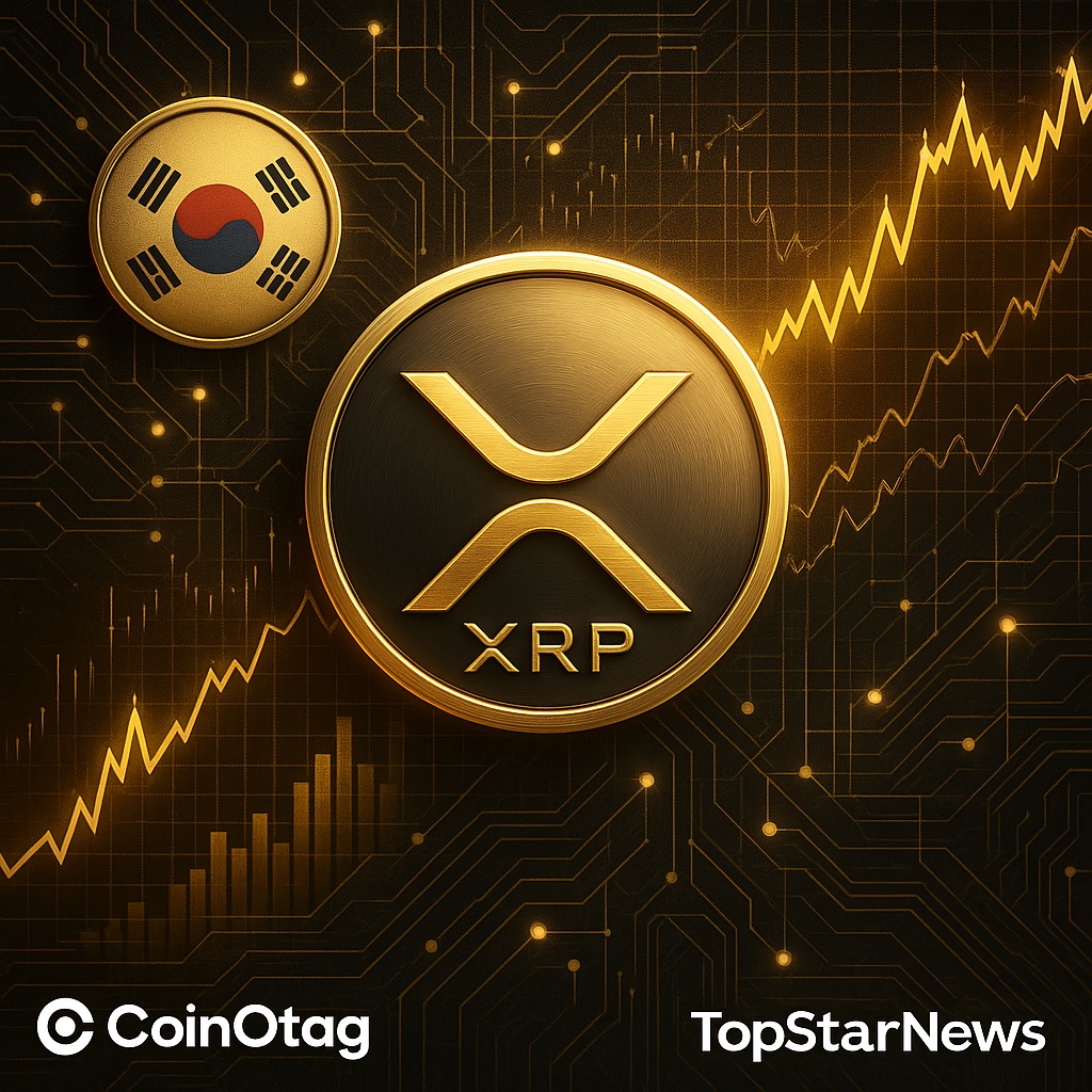 리플 XRP 급등 주도한 한국 투자자, 향후 성장 가능성은 여전히 불확실 - 김윤교 기자 - 톱스타뉴스 - 국제/시세