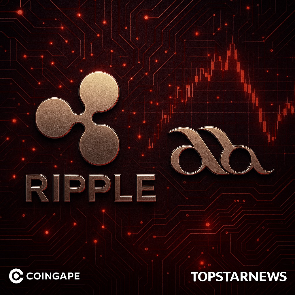 미국 코인 공청회 (71) 사진