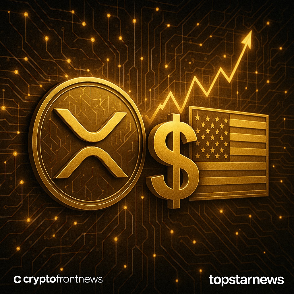 리플 발행 (86) 사진