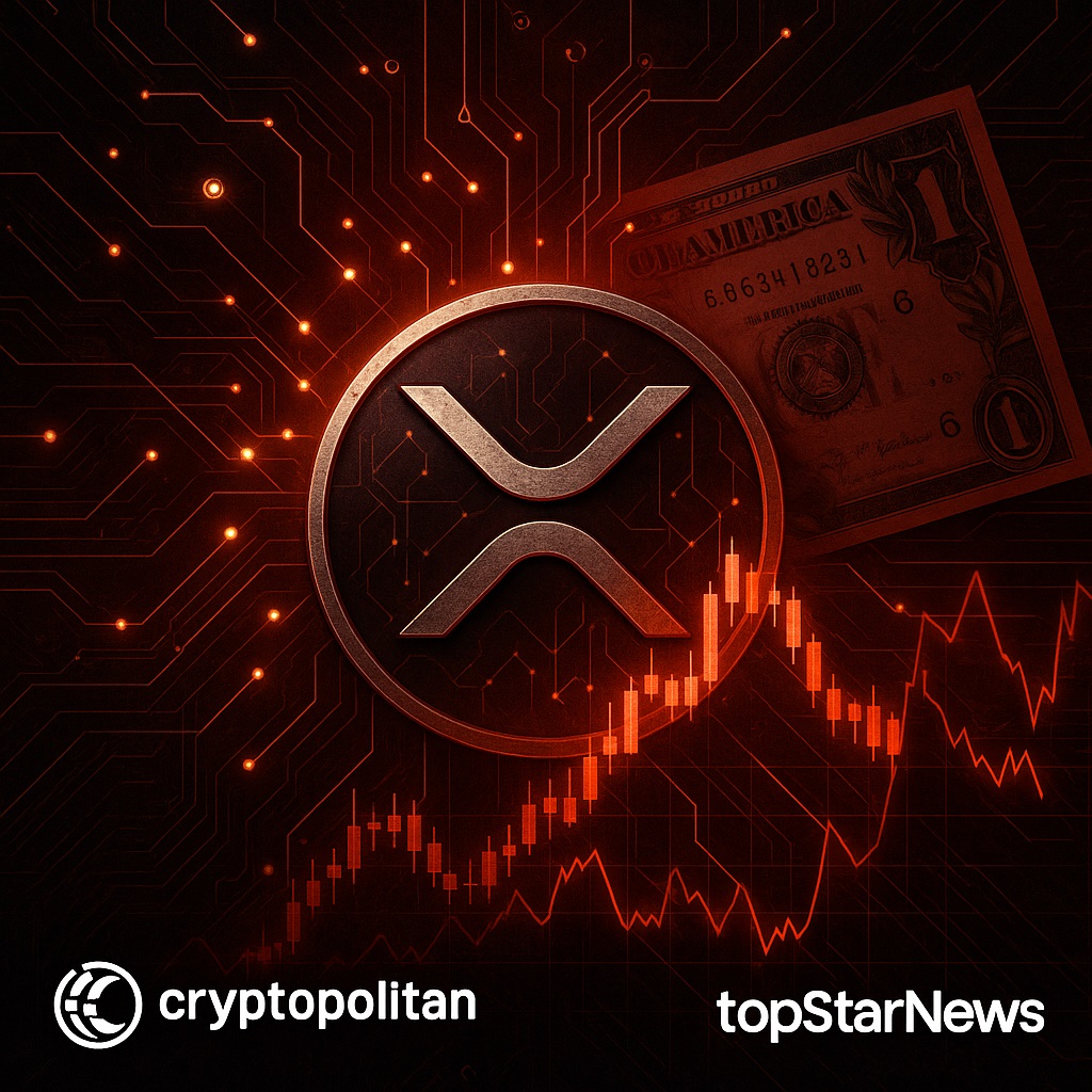 리플 공동창업자, 3천억 원대 XRP 대량 이체…시장 덤핑 논란 - 김시현 기자 - 톱스타뉴스 - 국제/시세