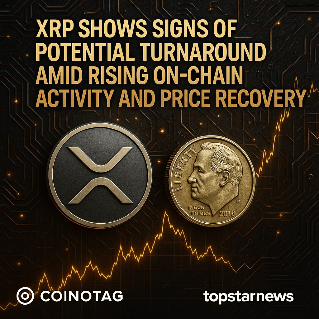 리플 XRP, 온체인 결제 급증에 60% 반등…3.20달러 돌파가 관건 - 김윤교 기자 - 톱스타뉴스 - 국제/시세