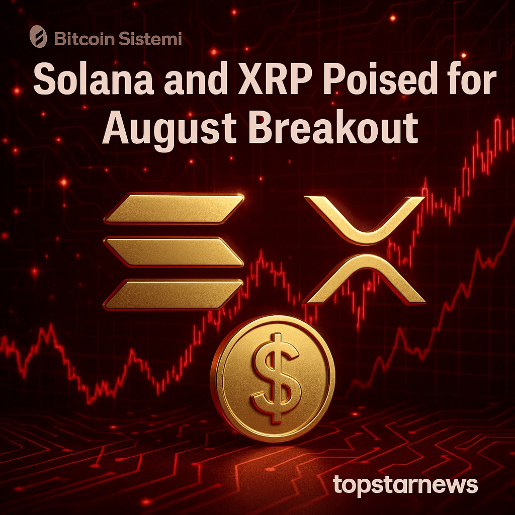 솔라나와 리플 XRP, 8월 대세 상승 기대감 고조…매각 조정 속 헤데라도 주목 - 김시현 기자 - 톱스타뉴스 - 국제/시세