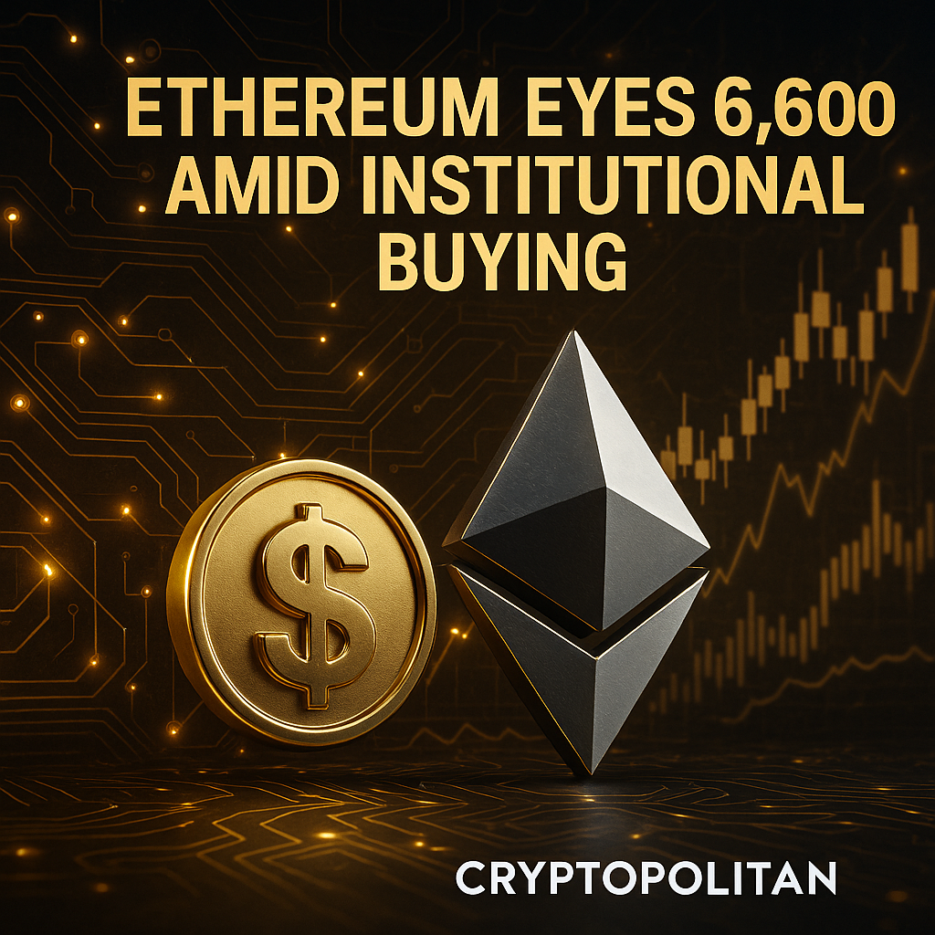 이더리움, 기관 매수세에 6,600달러 전망 - 김윤교 기자 - 톱스타뉴스 - 국제/시세