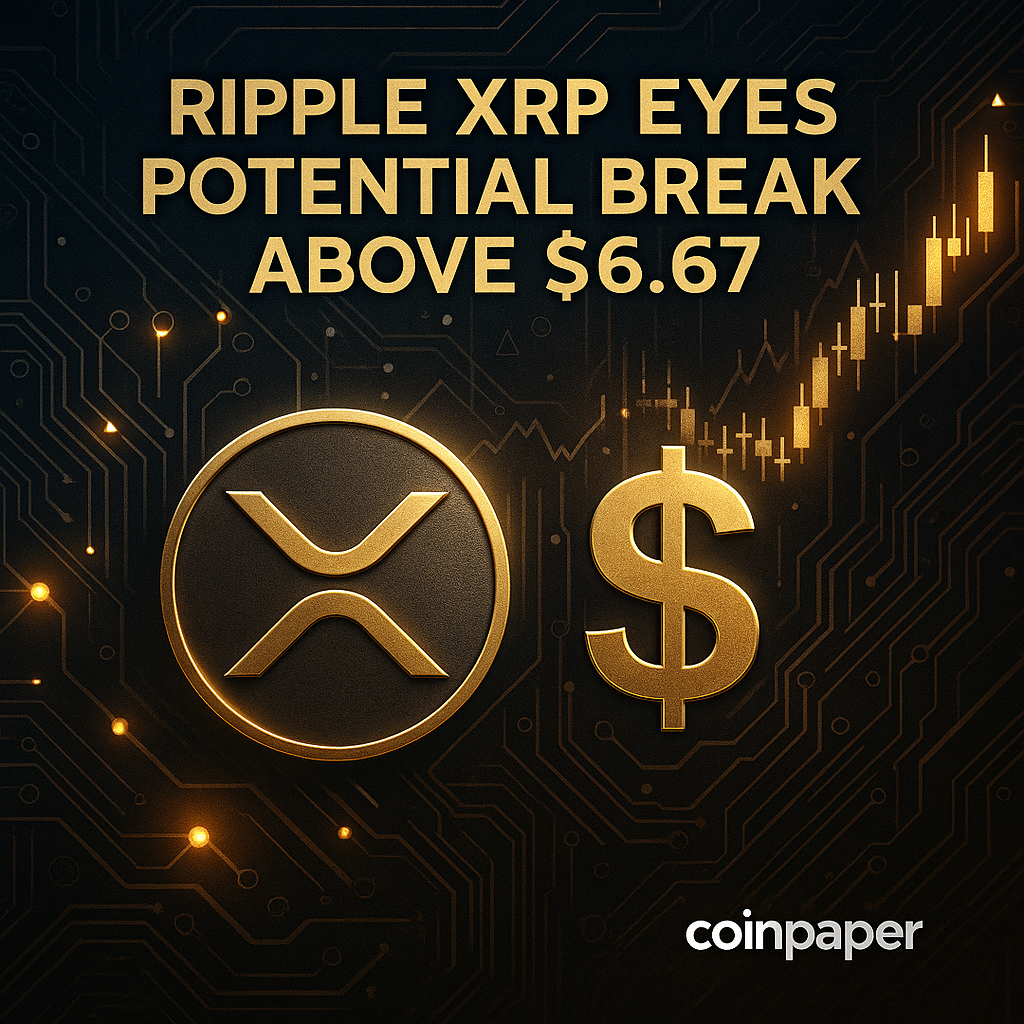 리플 XRP, 6.67달러 돌파 기대…비콘 네트워크 합류 - 김윤교 기자 - 톱스타뉴스 - 국제/시세