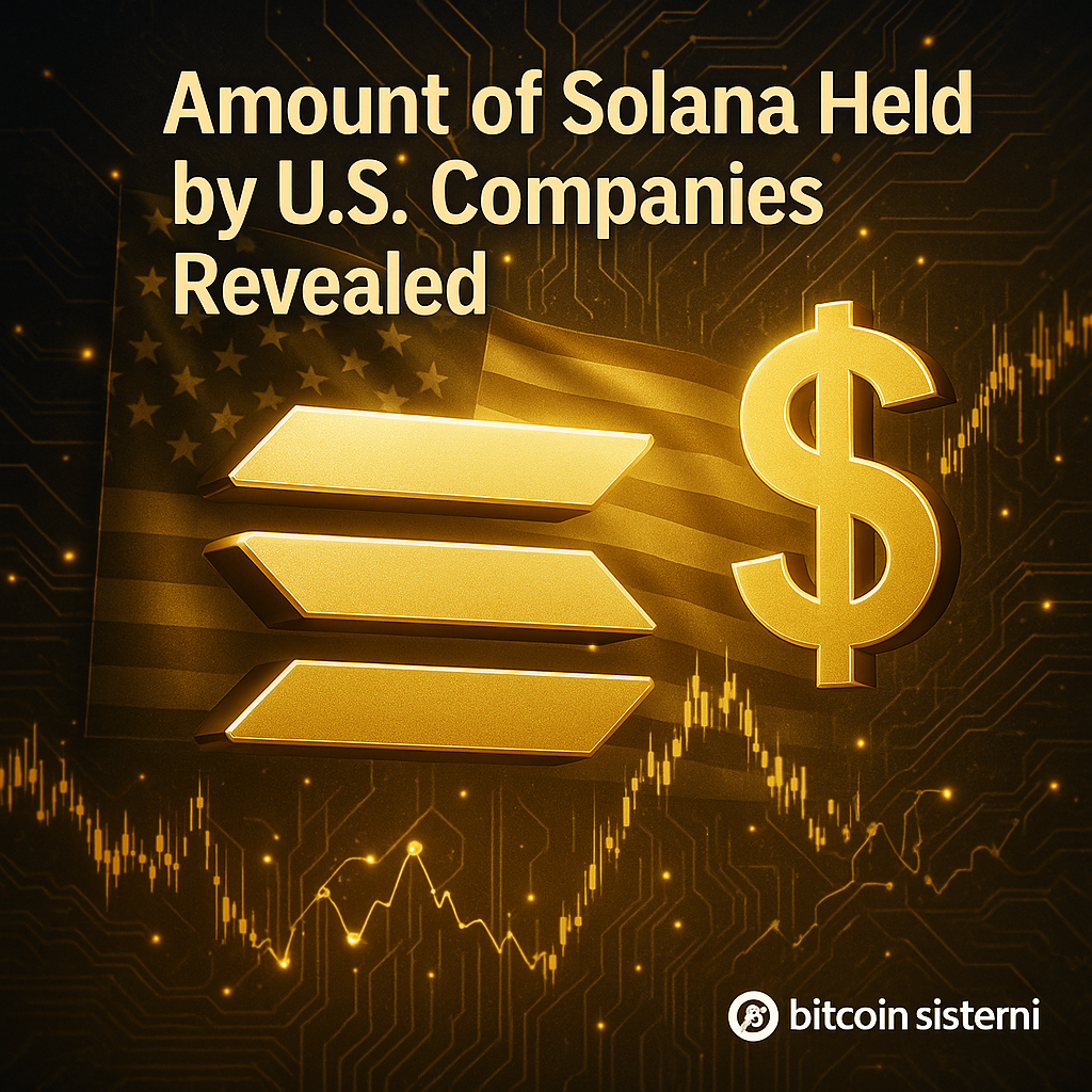 솔라나, 미국 기업 보유량 8억 달러 규모 확인 - 김시현 기자 - 톱스타뉴스 - 국제/시세