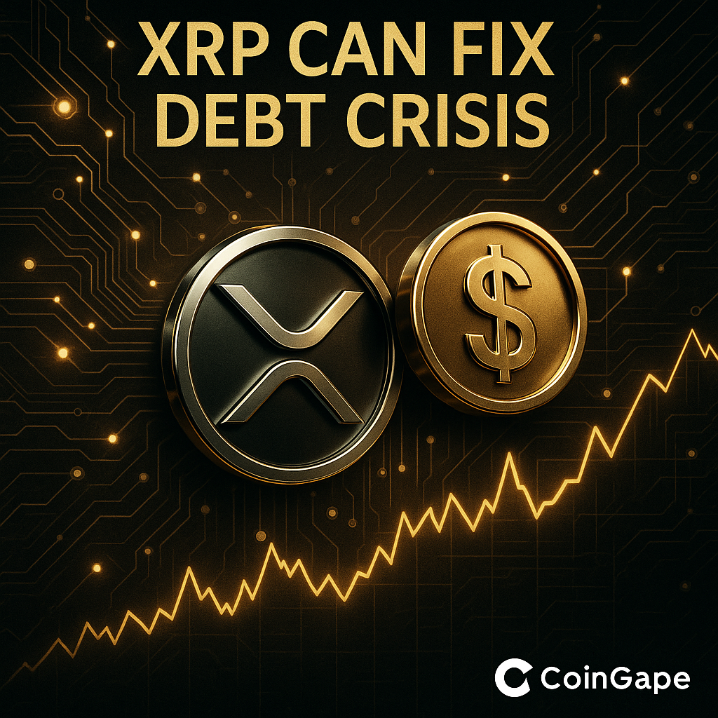 리플 중국 상장 (84) 사진