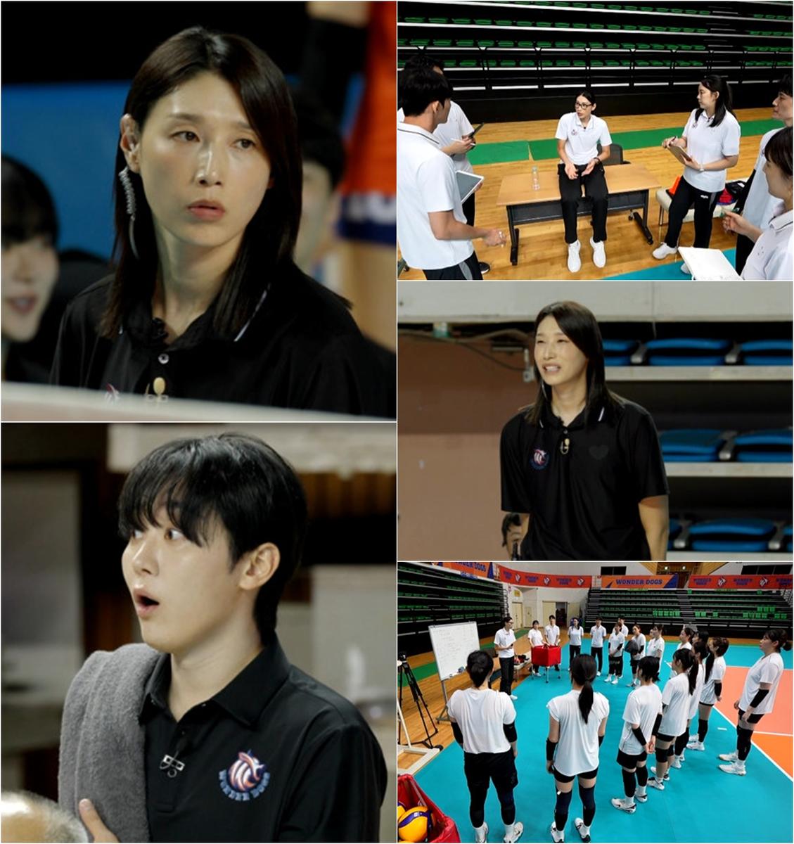 신인감독 김연경 이미지3