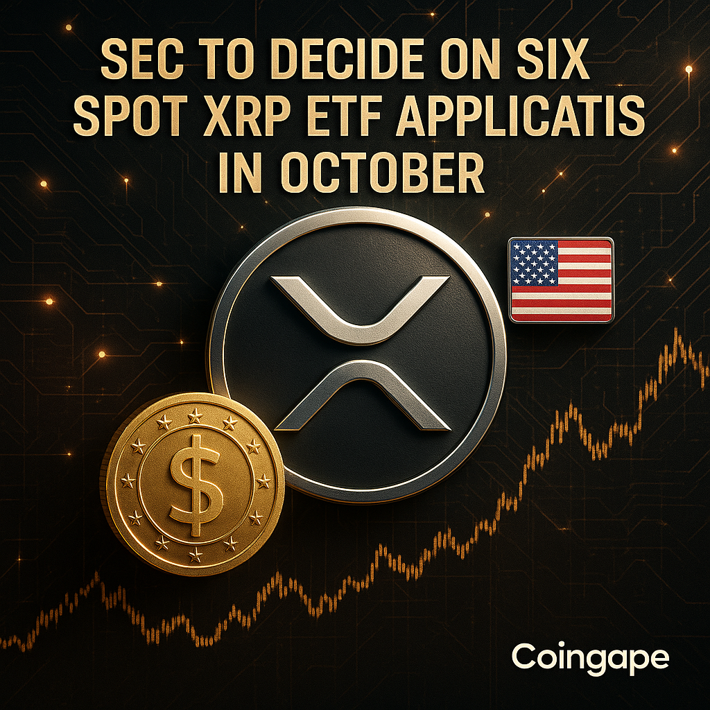 리플 XRP ETF 심사 앞둔 10월, 기관 자금 유입 분수령 되나 - 김시현 기자 - 톱스타뉴스 - 국제/시세