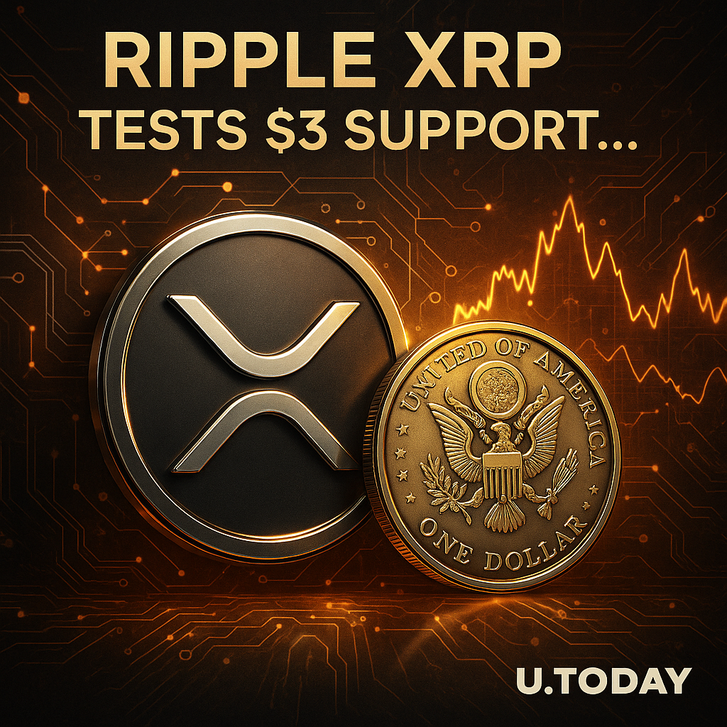 리플 XRP, 3달러 지지선 시험대…비트코인 자금 이동에 단기 불안 - 김시현 기자 - 톱스타뉴스 - 국제/시세