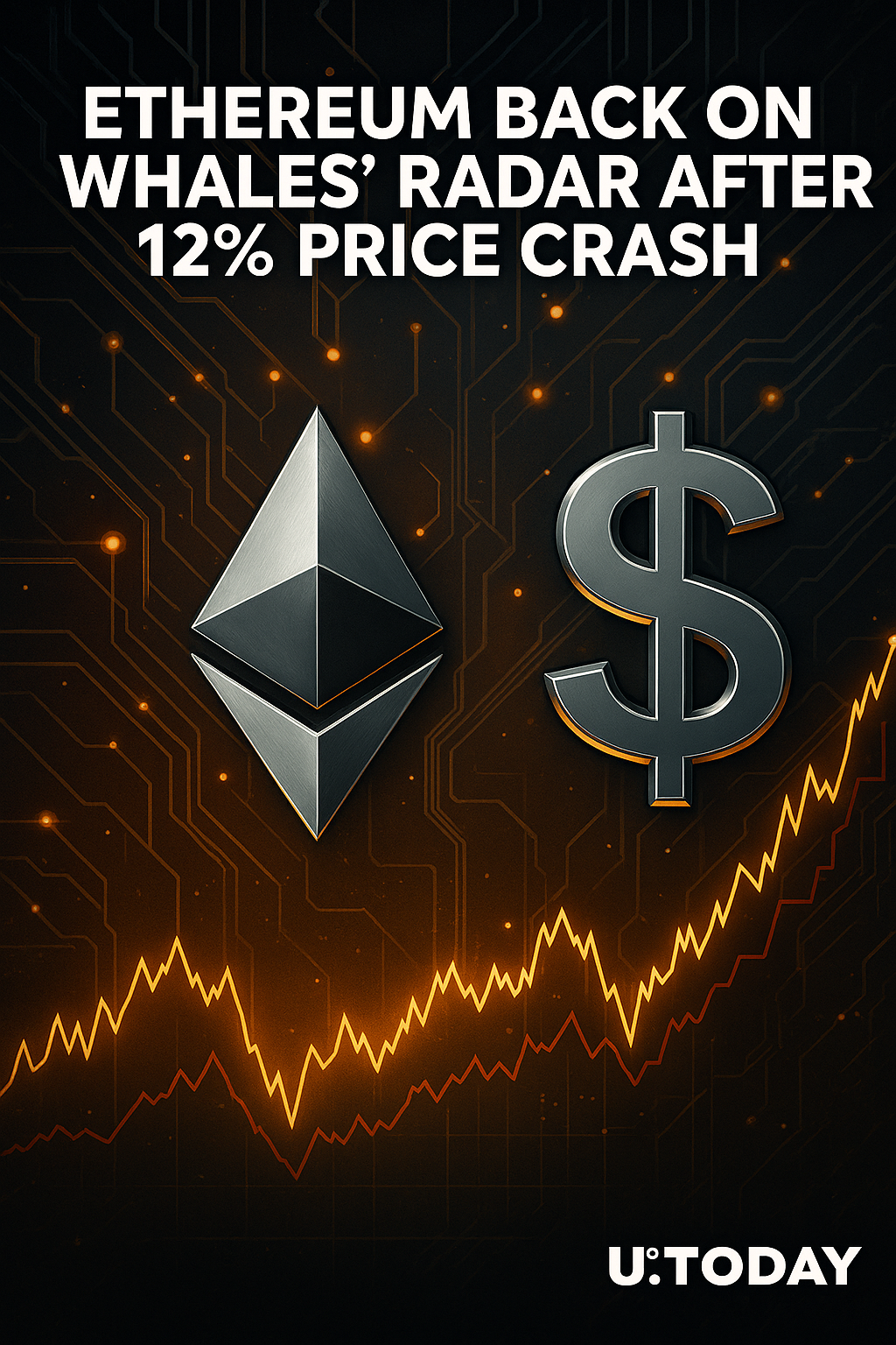이더리움, 12% 급락 후 고래 매수 재개…기관자금 유입 조짐 뚜렷 - 김명수 기자 - 톱스타뉴스 - 국제/시세