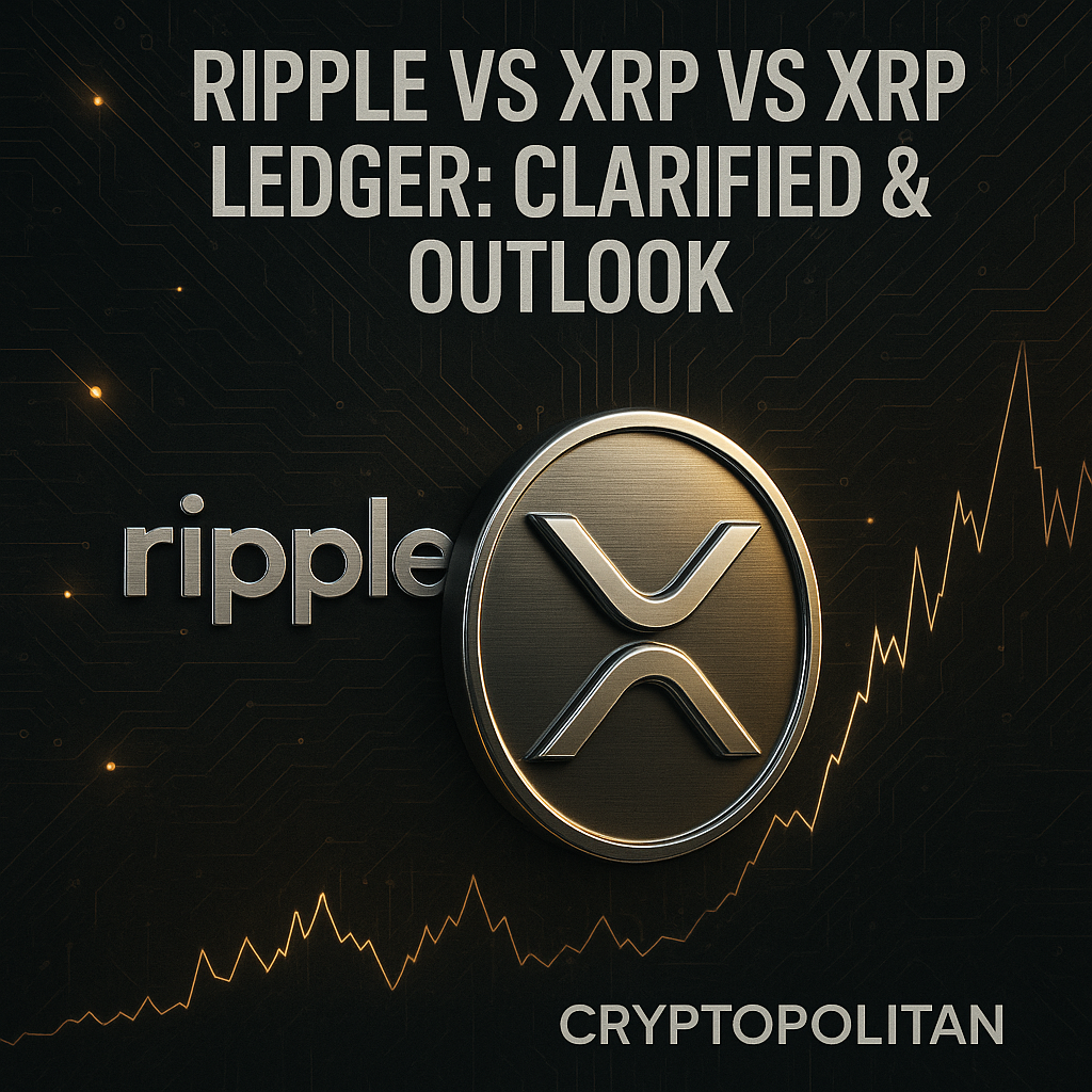 리플 300원 3개 (88) 사진