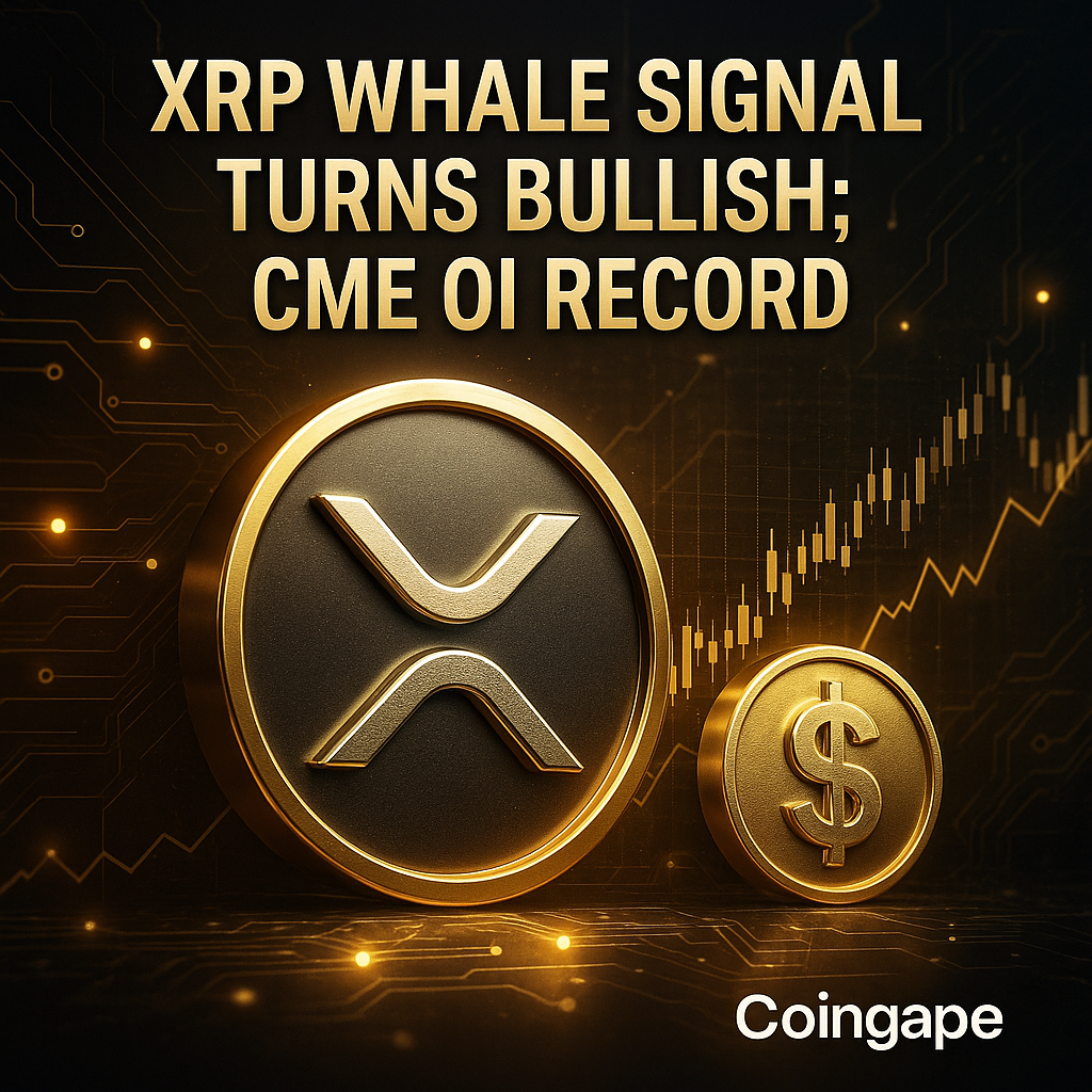 리플 XRP, 고래지표 반전…랠리 전망과 OI 최고 - 김명수 기자 - 톱스타뉴스 - 국제/시세