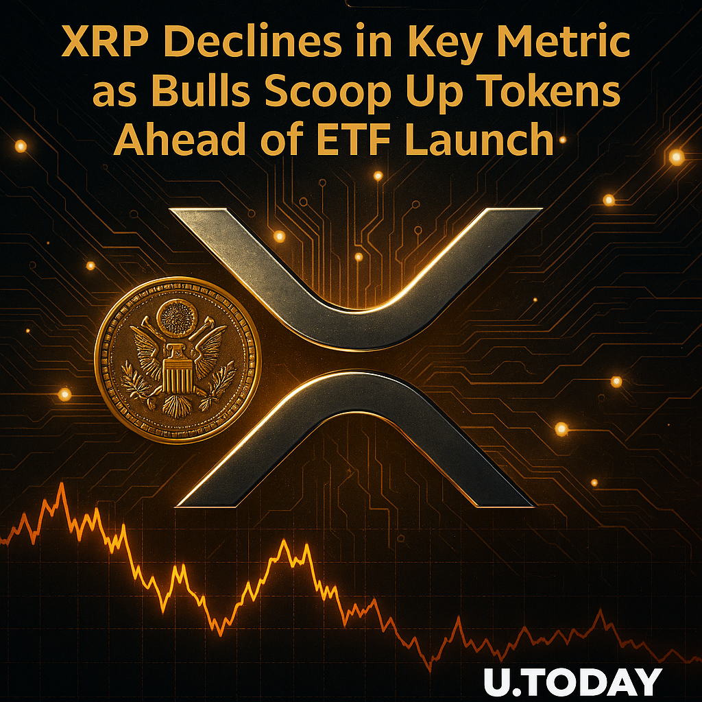 리플 XRP ETF 출시에 앞서 매수세 확대…거래소 예치 물량 감소 - 김명수 기자 - 톱스타뉴스 - 국제/시세