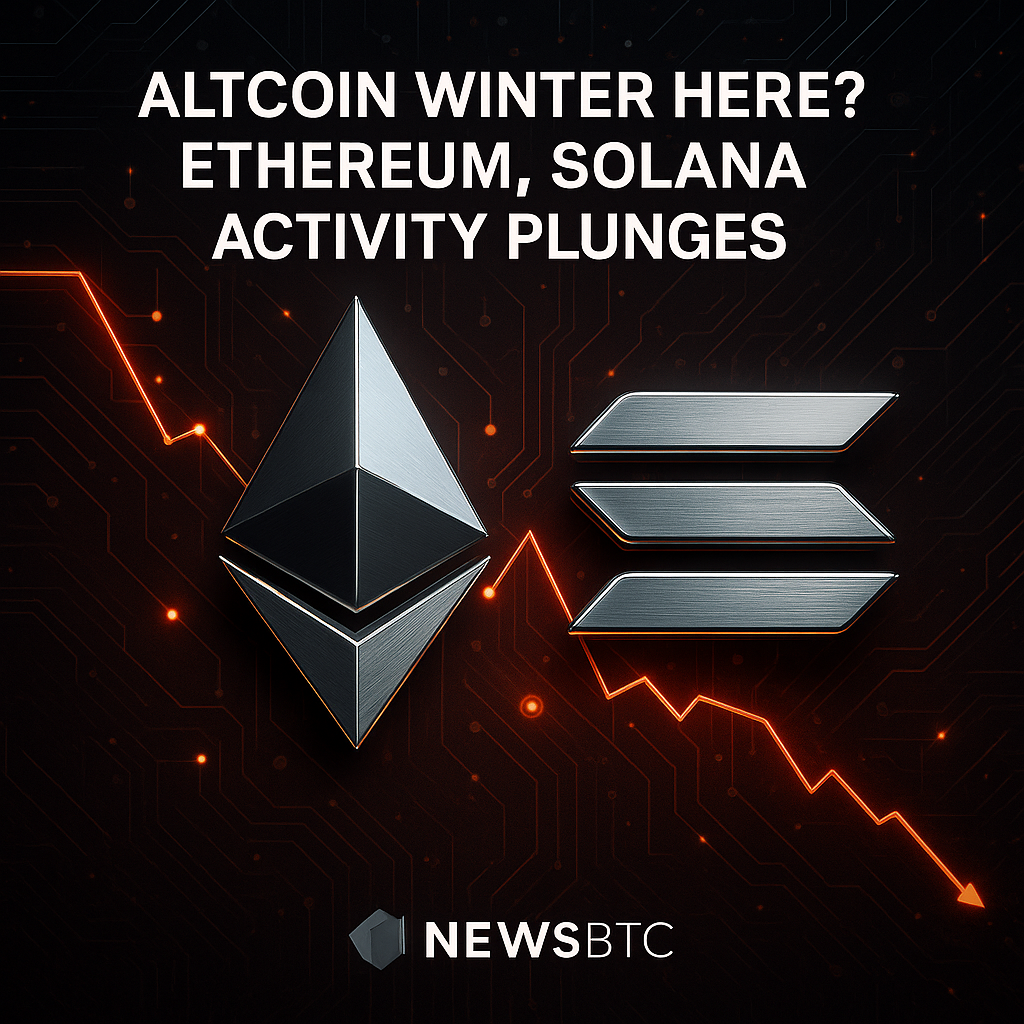 알트코인 겨울 신호…이더리움·솔라나 활동 급감 분석 - 김명수 기자 - 톱스타뉴스 - 국제/시세