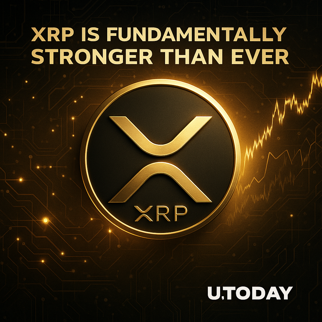 리플 XRP, 가격 부진에도 네트워크 지표 강화…반등 가능성 분석 담겨 - 김윤교 기자 - 톱스타뉴스 - 국제/시세