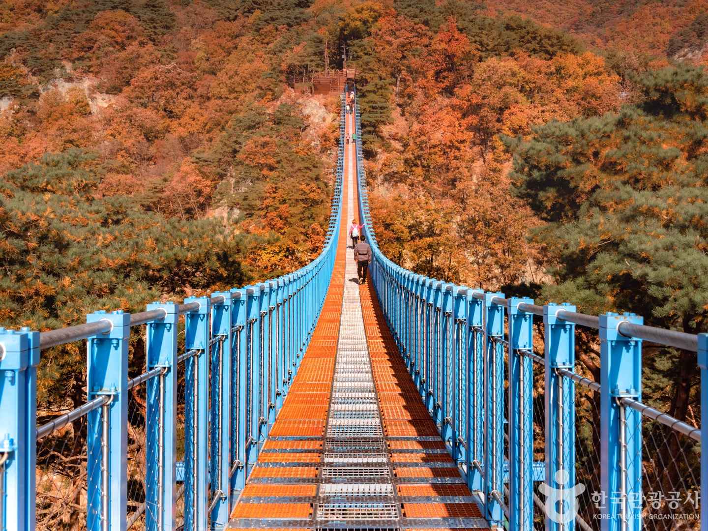 소금산그랜드밸리 출처 : 한국관광공사 포토코리아 