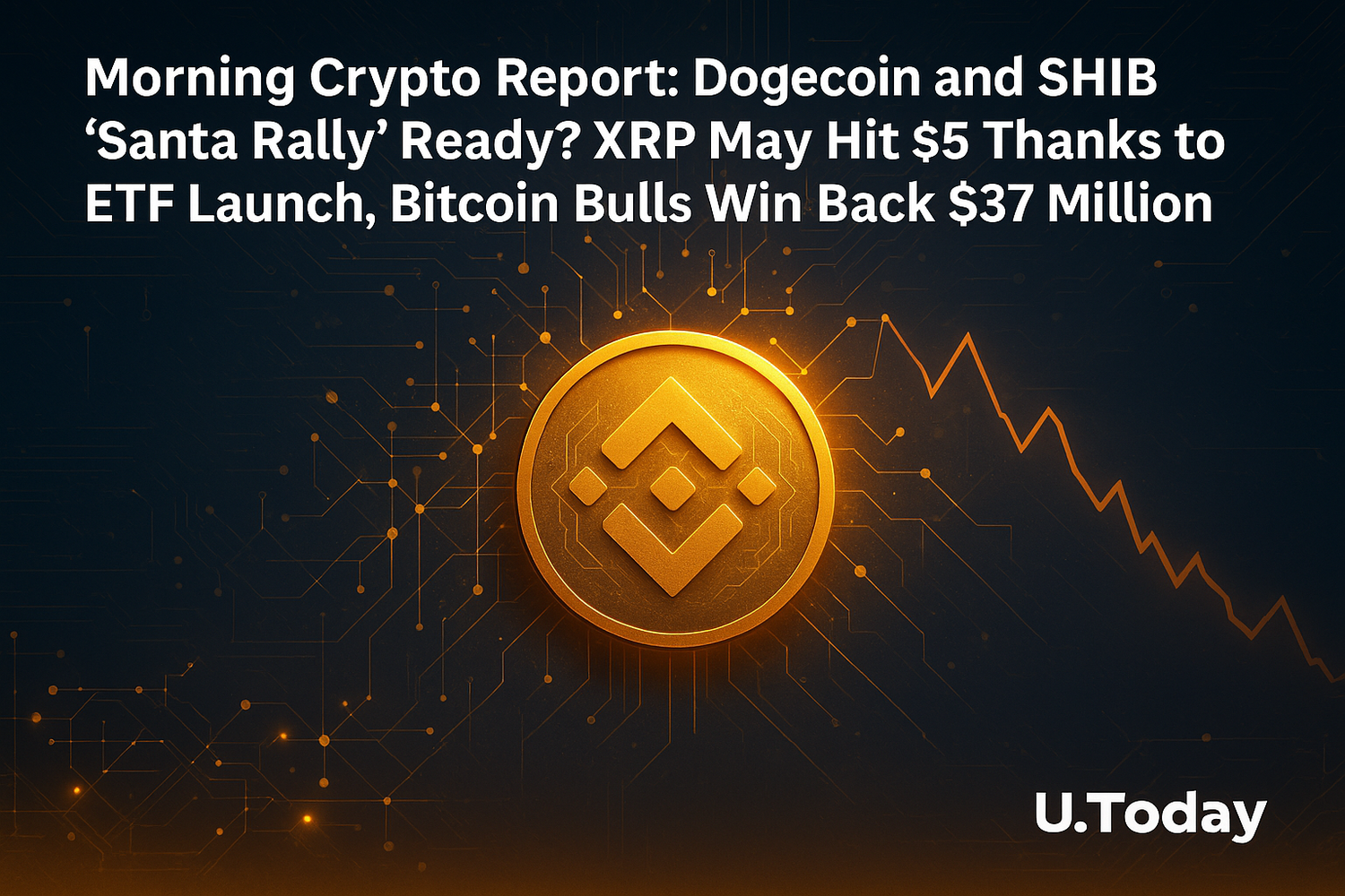 연말 랠리 기대 속 도지코인·시바이누 반등 조짐, 리플 XRP ETF 수요 주목 - 김윤교 기자 - 톱스타뉴스 - 국제/시세