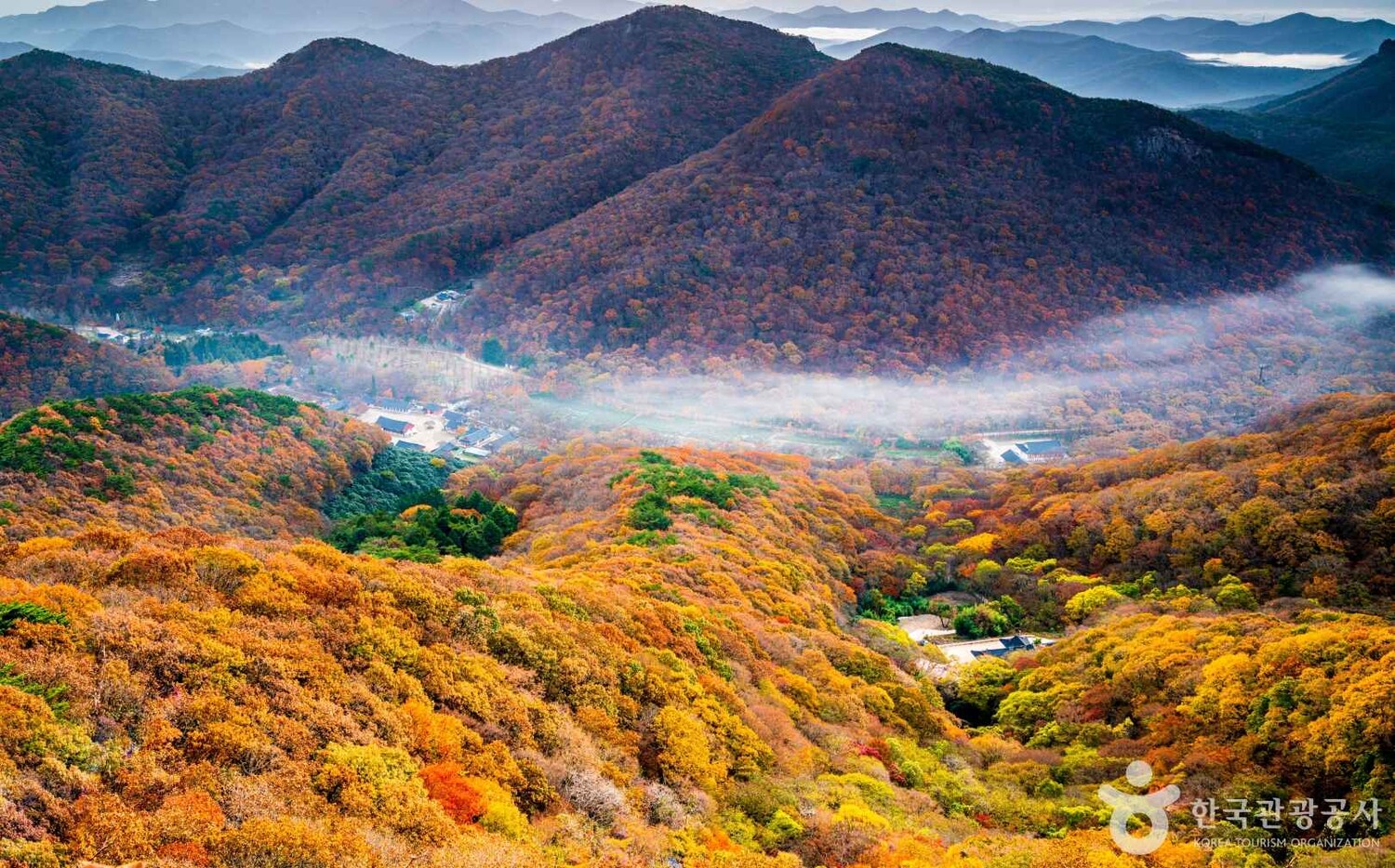 고창 가볼 만한 곳, 낭만적인 가을 풍경 속 휴식과 치유의 시간