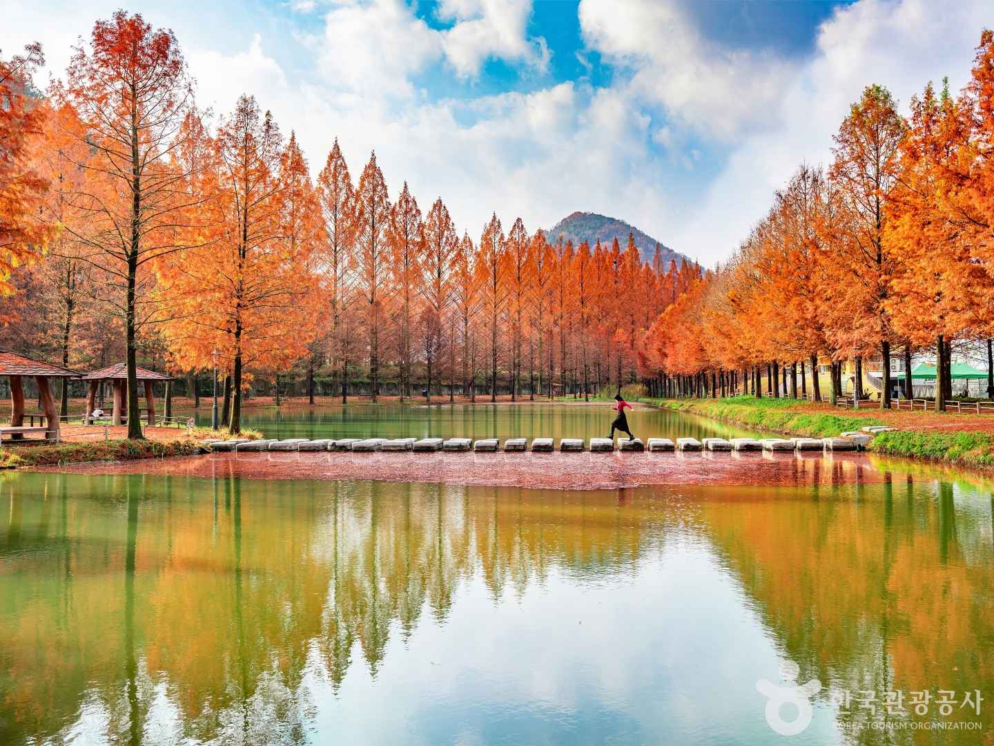 메타길 징검다리 출처 : 한국관광공사 포토코리아 