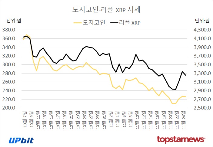[그래프] 도지코인-리플 XRP 시세 추이