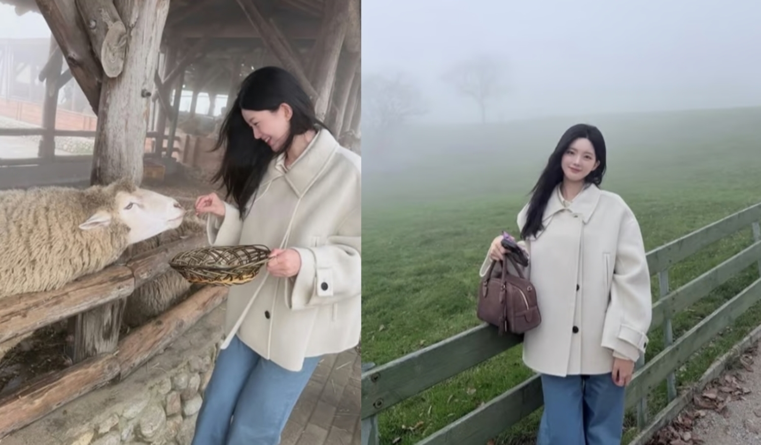 제연 인스타그램 