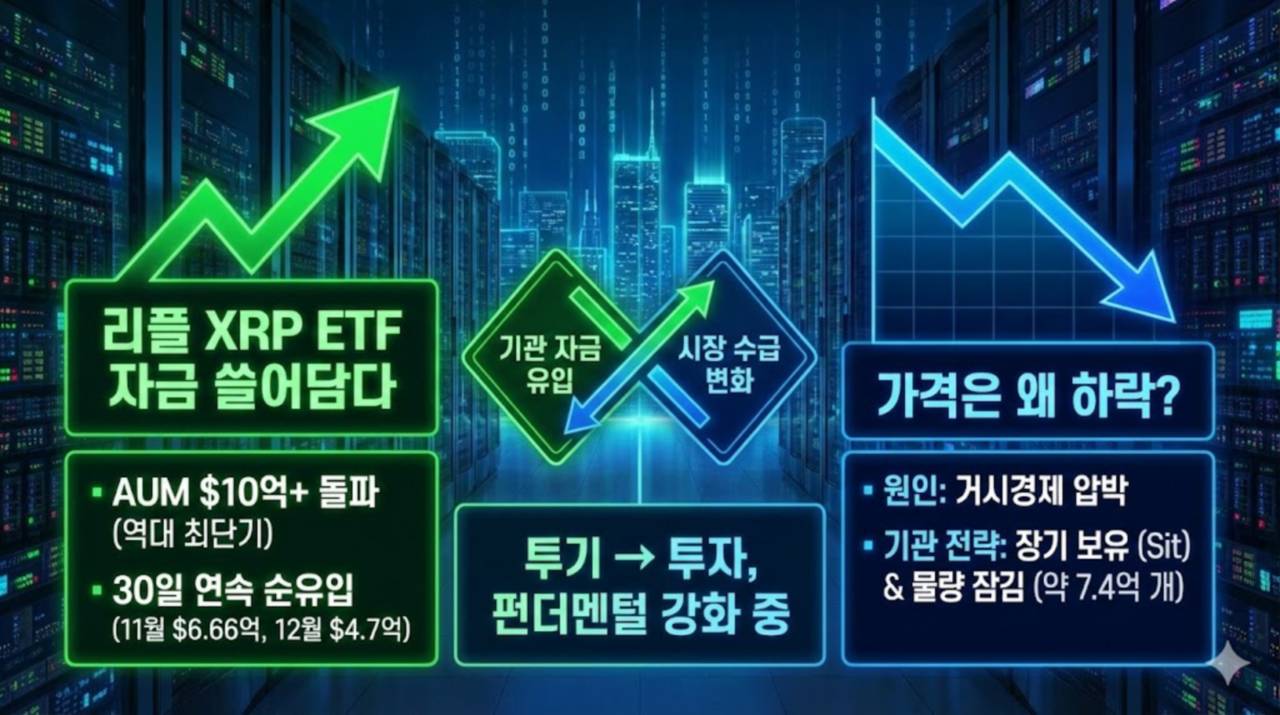 기관 자금 쓸어담는 리플 XRP… 역대급 ETF 자금 유입에도 가격은 왜? - 김윤교 기자 - 톱스타뉴스 - 국제/코인/시세