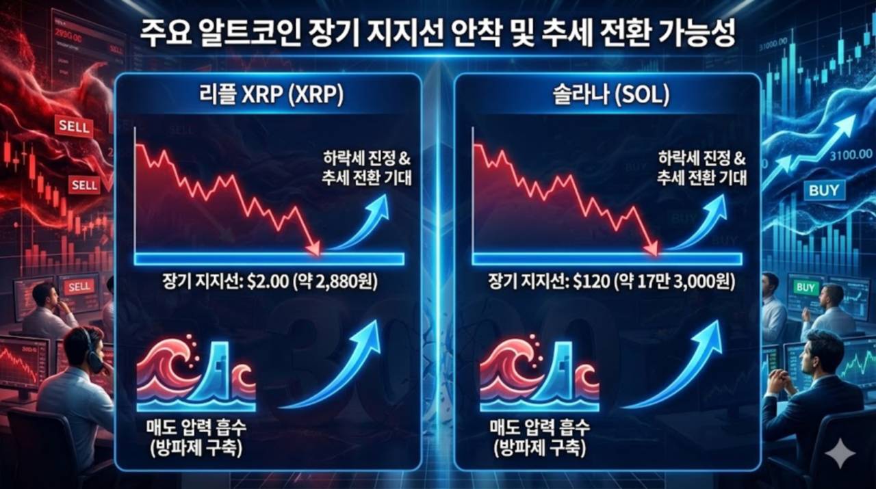 이더리움·리플 XRP·솔라나, 대반격 시나리오… 