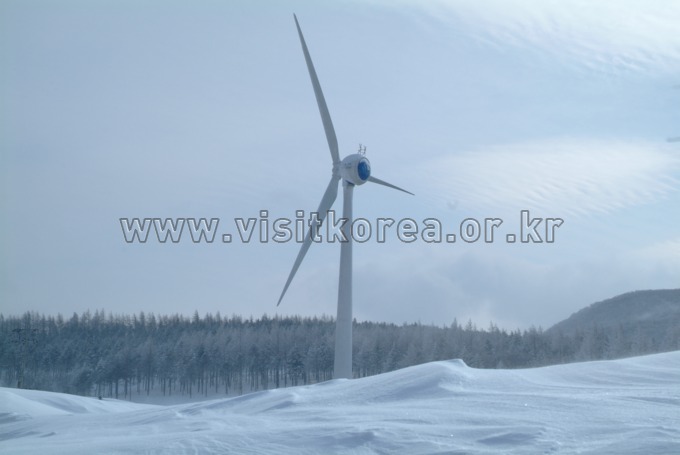 평창 가볼만한곳, 고개 하나 넘었을 뿐인데 공기가 달라졌다 - 뉴스 썸네일 이미지