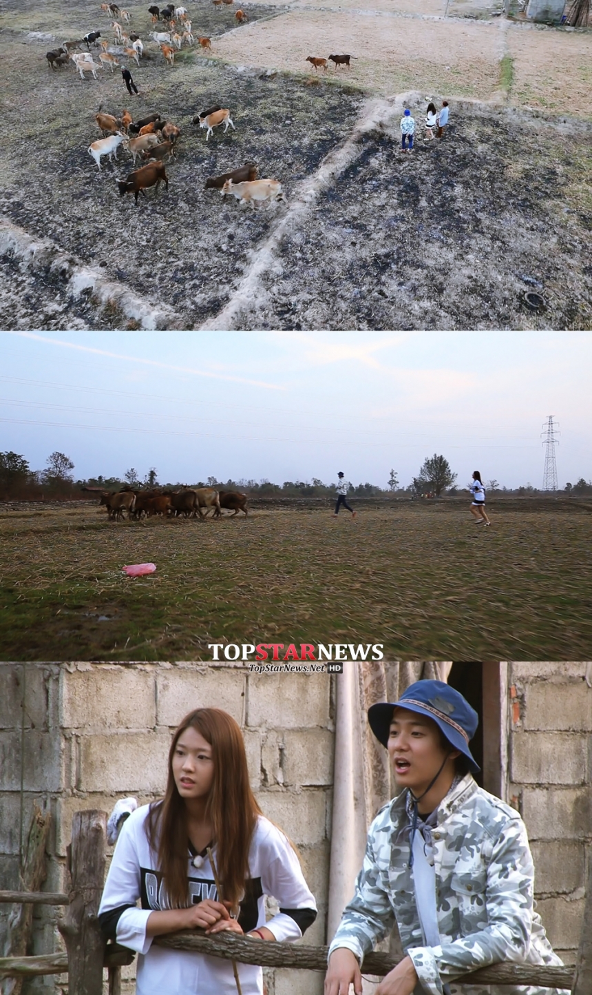 ‘용감한 가족’ 씨엔블루(CNBLUE) 민혁-에이오에이(AOA) 설현 / KBS ‘용감한 가족’