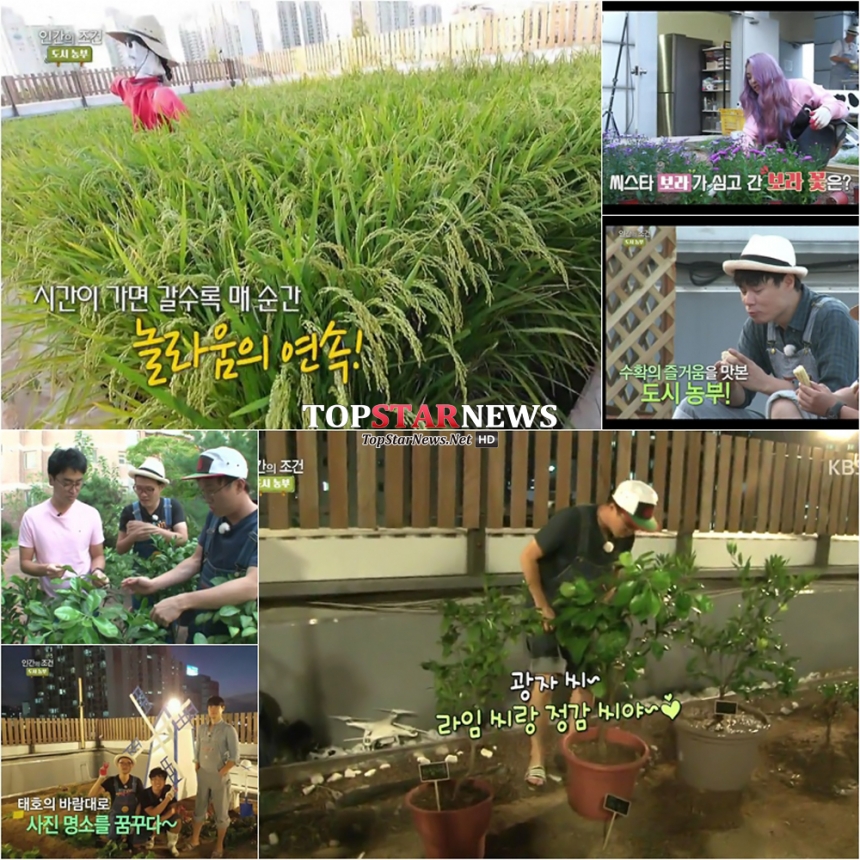 ‘인간의 조건-도시농부’ 출연진 / KBS 2TV ‘인간의 조건-도시농부’ 화면캡처