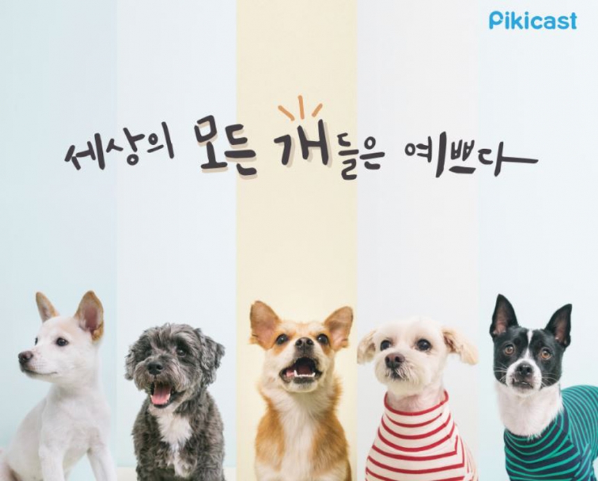 피키캐스트(Pikicast) 유기견 가족 찾기 프로젝트