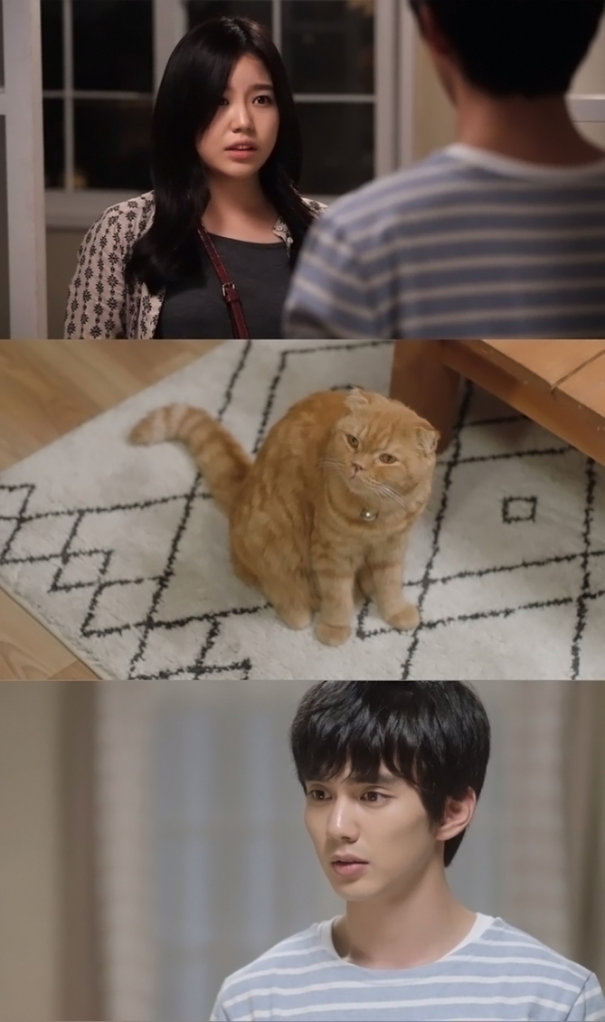 ‘상상고양이’ 조혜정-유승호 / MBC에브리원 ‘상상고양이’ 