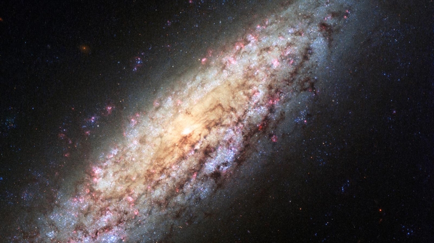This lonely spiral galaxy (NGC 6503) is at the edge of an extremely large empty patch of space referred to as "the local void" and is about 18 million light years from us / NASA,ESA,Hubble