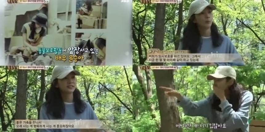 ‘동물농장’ 윤승아 / SBS ‘동물농장’ 화면 캡처