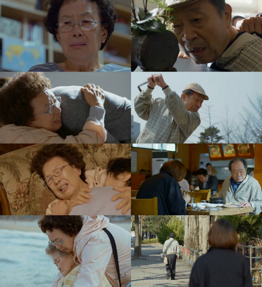 ‘디어 마이 프렌즈’ 출연진 / tvN ‘디어 마이 프렌즈’ 화면 캡처