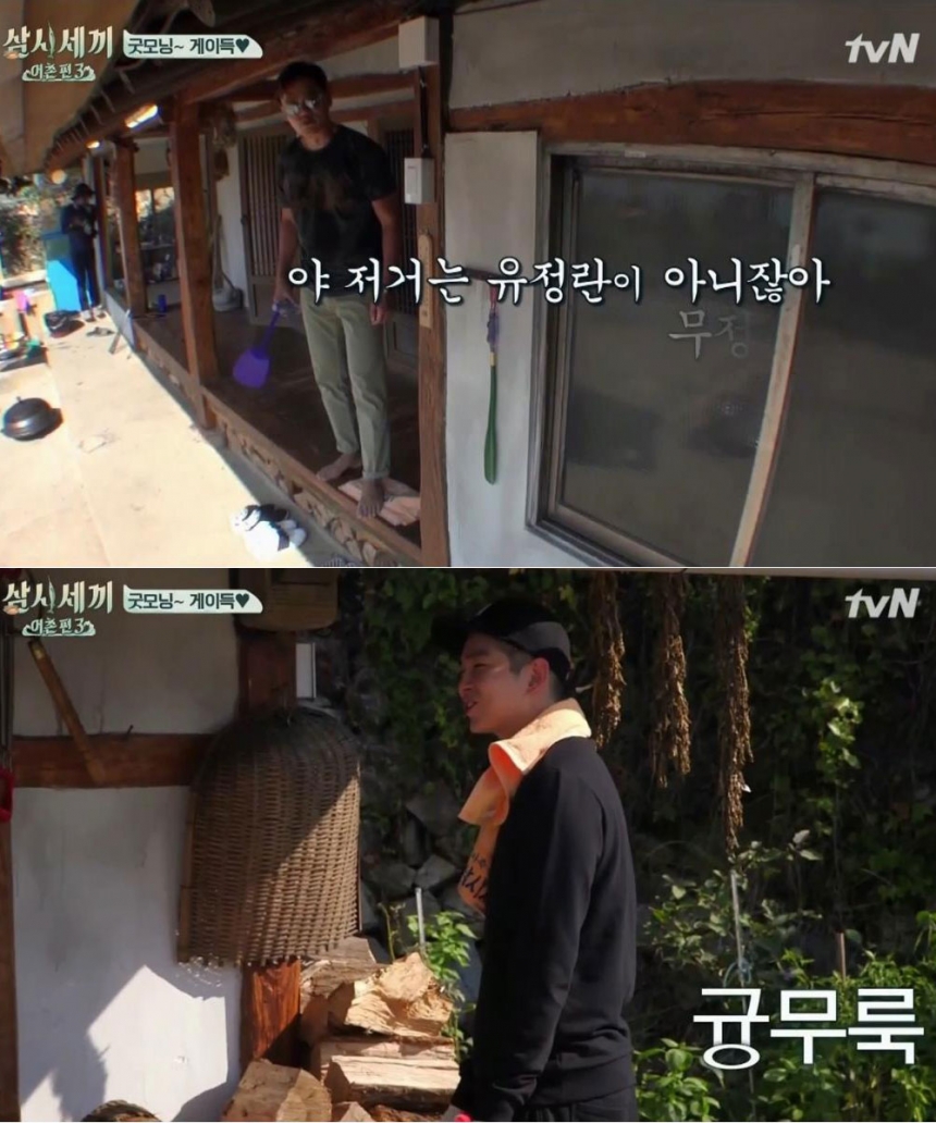 ‘삼시세끼 어촌편 3’ / tvN ‘삼시세끼 어촌편 3’ 화면 캡처
