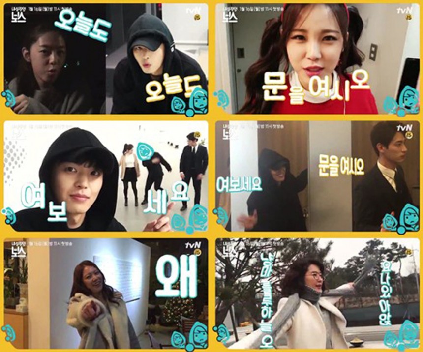‘내성적인 보스’ 출연진 / tvN ‘내성적인 보스’ 예고 화면 캡처