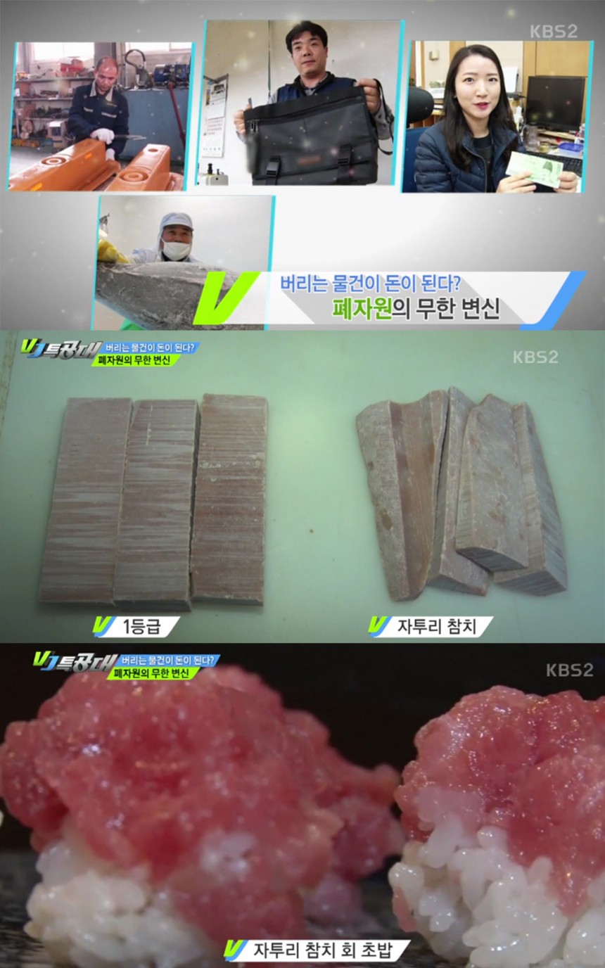 ‘VJ특공대’ 방송 화면 / KBS ‘VJ특공대’ 방송 캡처