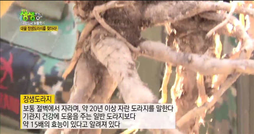 ‘생생정보’ 방송 화면 / KBS ‘생생정보’ 방송 캡처