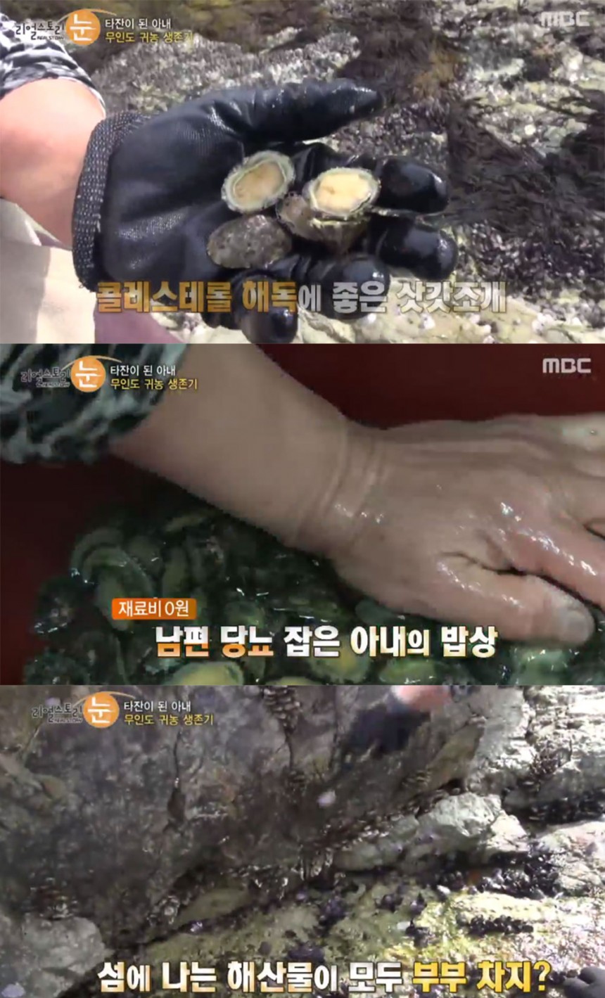 ‘리얼스토리 눈’ 출연진 / MBC ‘리얼스토리 눈’ 방송 캡처