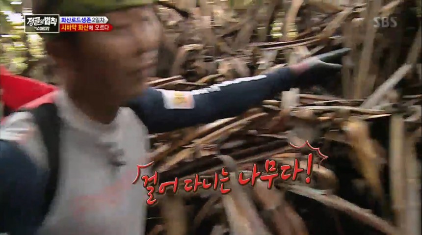 ‘정글의 법칙’  / SBS ‘정글의 법칙’ 방송 캡처