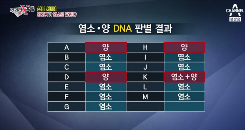 ‘먹거리 X파일’ 방송 화면 / 채널 A ‘먹거리 X파일’ 방송 캡처