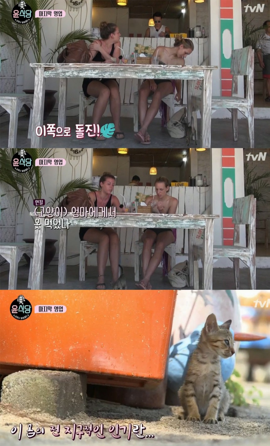 ‘윤식당’ 고양이 / tvN ‘윤식당’ 방송 캡처